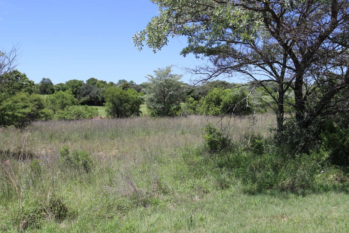 Vacant Land Residential For Sale in Koro Creek Golf Estate - Photo 3