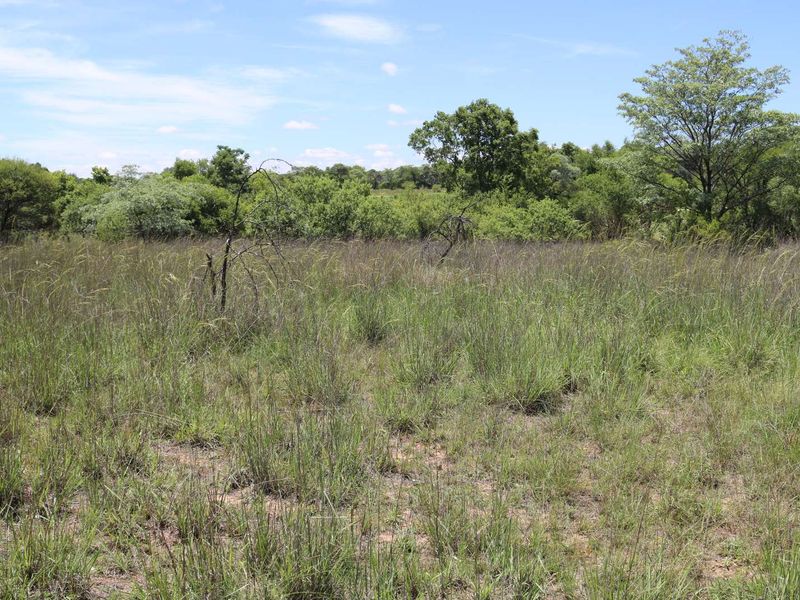 Vacant Land Residential For Sale in Koro Creek Golf Estate - Photo 1