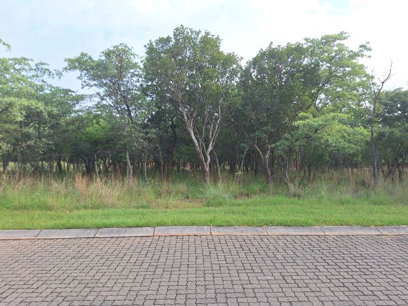 Vacant Land Residential For Sale in Koro Creek Golf Estate - Photo 1