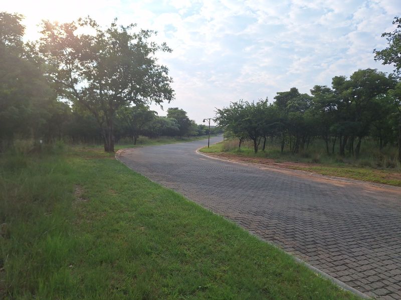 Vacant Land Residential For Sale in Koro Creek Golf Estate - Photo 2