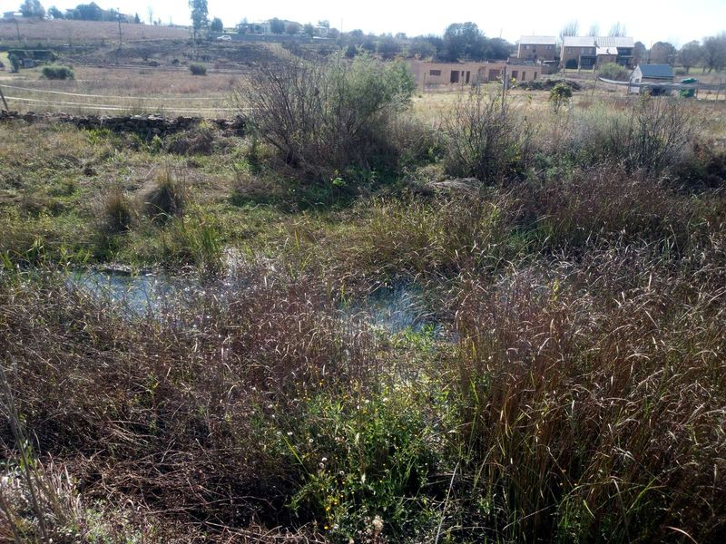 Vacant Land Residential For Sale in Rietvlei View Country Estates - Photo 8