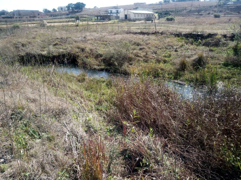 Vacant Land Residential For Sale in Rietvlei View Country Estates - Photo 9