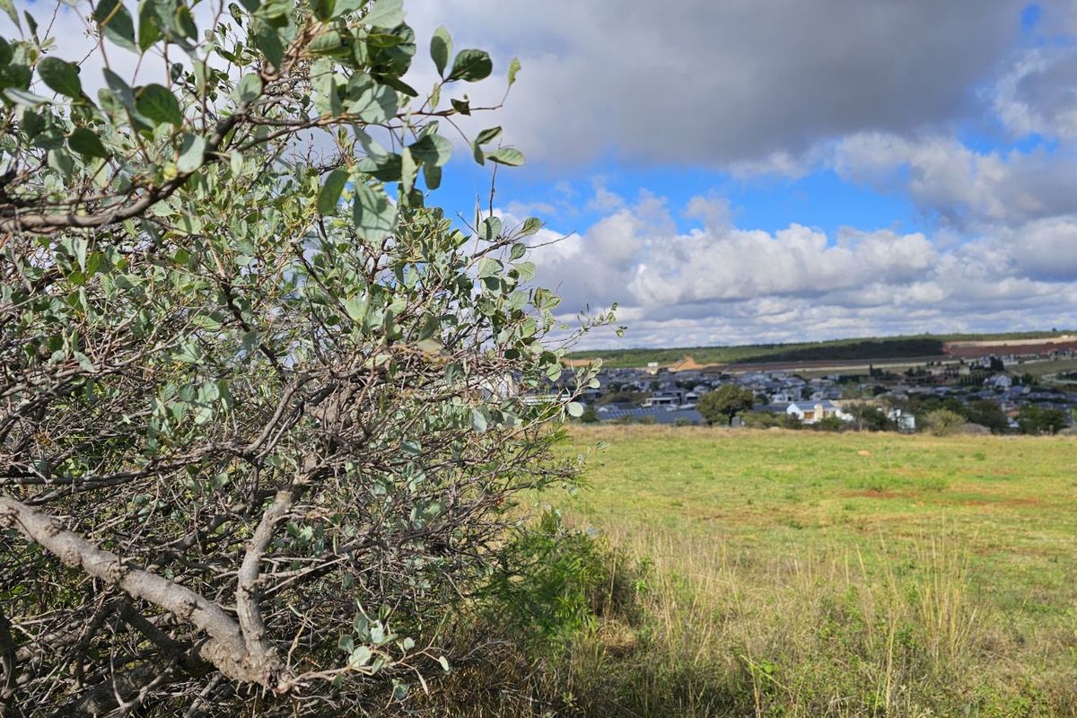 Vacant Land Residential For Sale in The Hills Game Reserve Estate - Photo 5