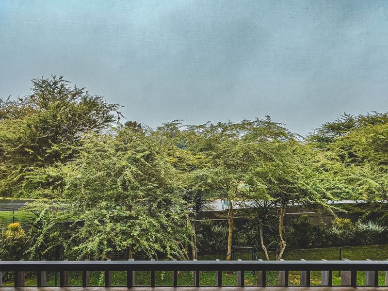 Apartment To Rent in Elaleni Coastal Forest Estate - Photo 6