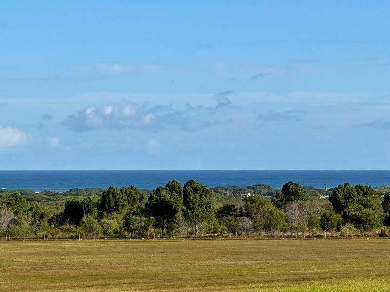 Farm For Sale in Franskraal - Photo 3