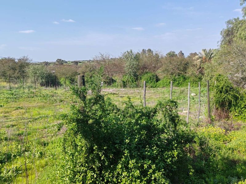 Vacant Land Residential For Sale in De Hoop - Photo 2
