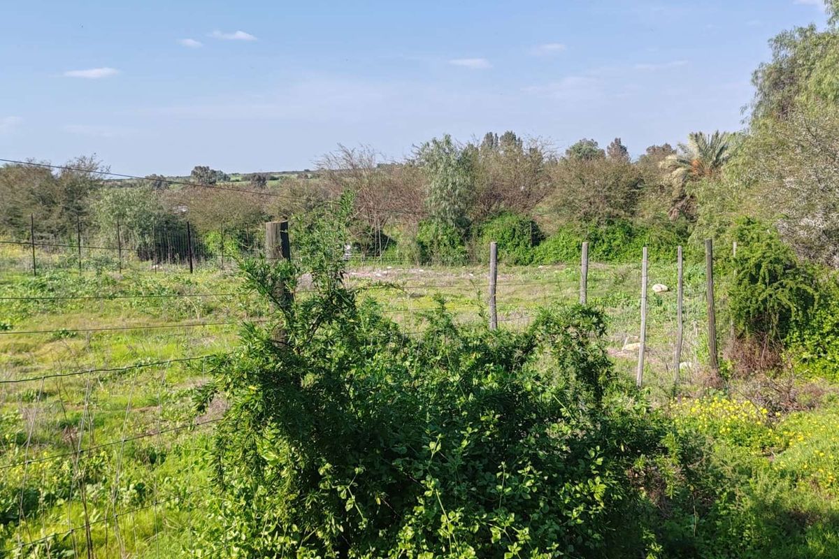 Vacant Land Residential For Sale in De Hoop - Photo 2