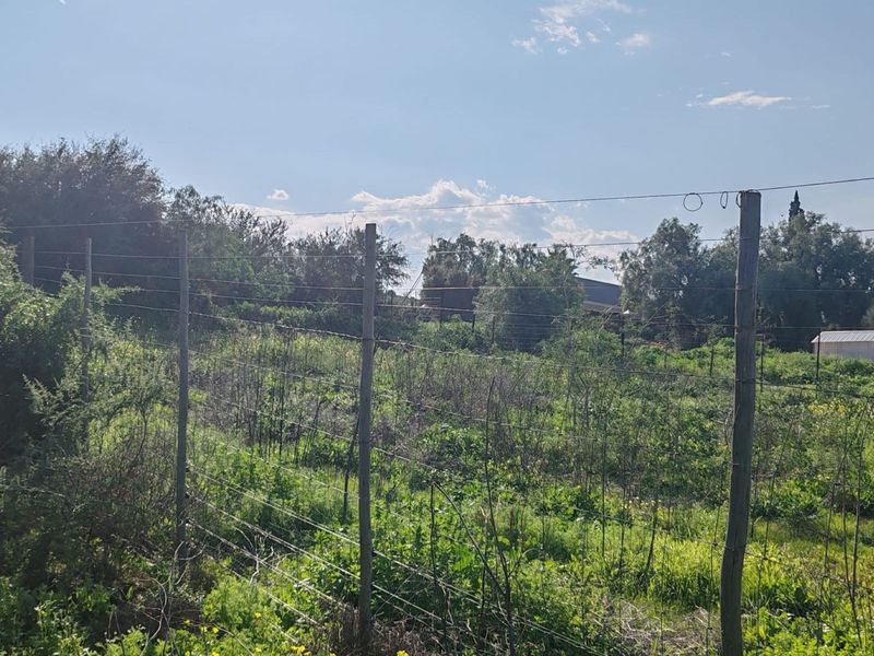 Vacant Land Residential For Sale in De Hoop - Photo 4