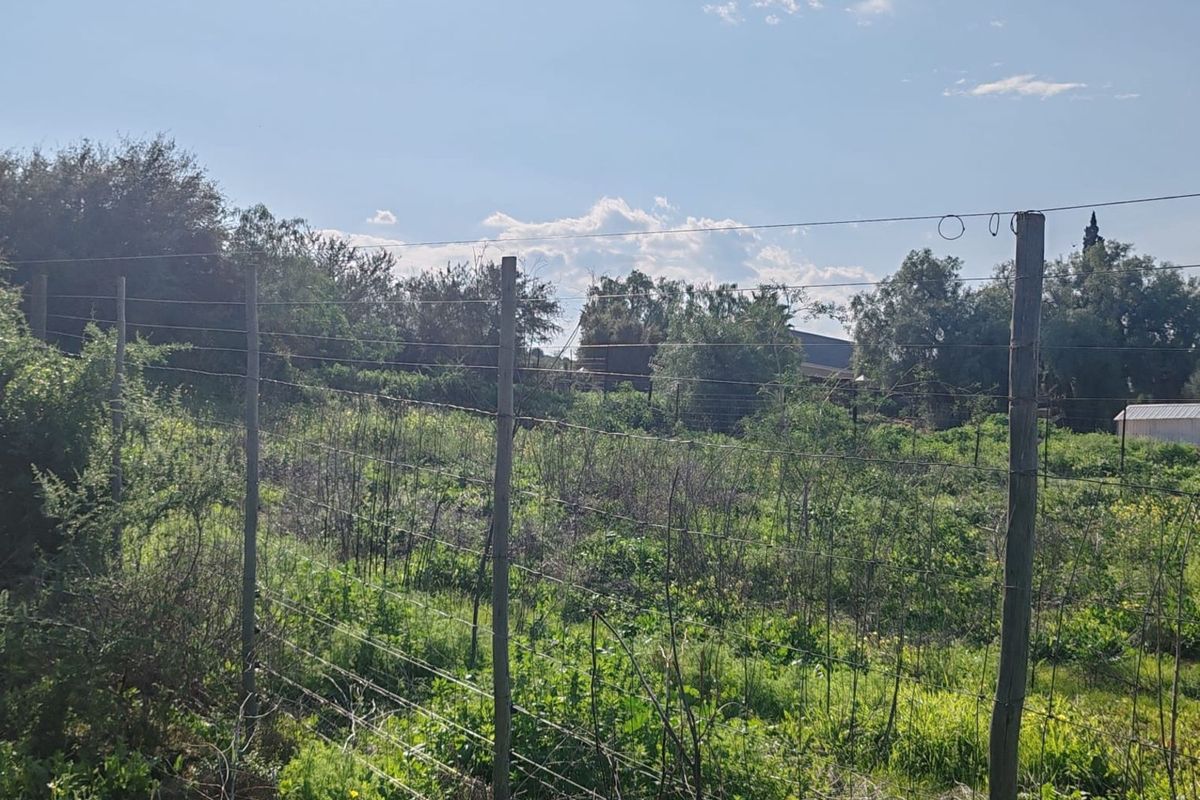 Vacant Land Residential For Sale in De Hoop - Photo 4