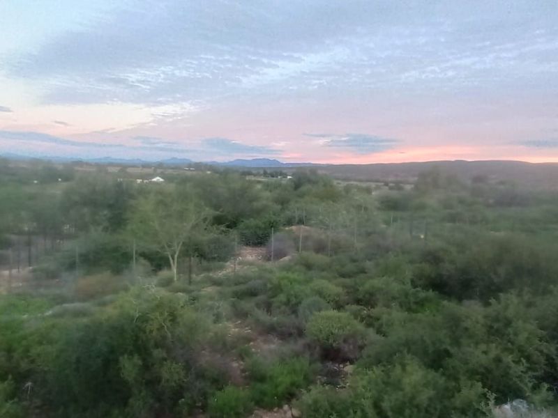 Vacant Land Residential For Sale in De Hoop - Photo 7