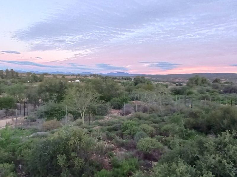 Vacant Land Residential For Sale in De Hoop - Photo 6
