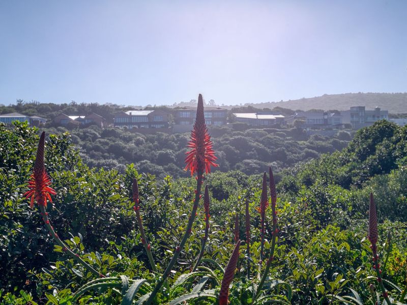 Vacant Land Residential For Sale in Nature On Sea - Photo 9