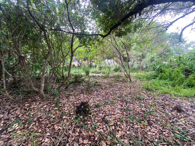Vacant Land Residential For Sale in Bergsig - Photo 4