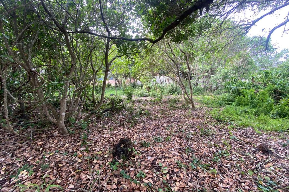 Vacant Land Residential For Sale in Bergsig - Photo 4