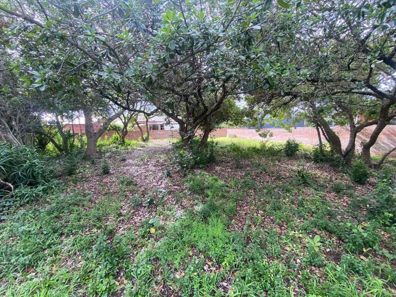 Vacant Land Residential For Sale in Bergsig - Photo 5