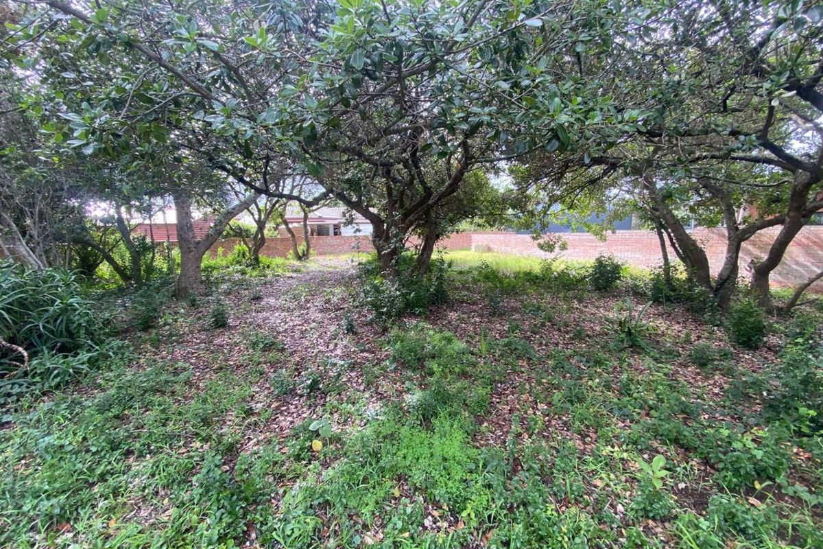 Vacant Land Residential For Sale in Bergsig - Photo 5