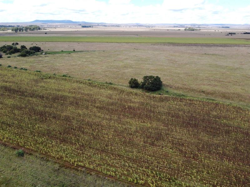 Farm For Sale in Fochville Rural - Photo 3