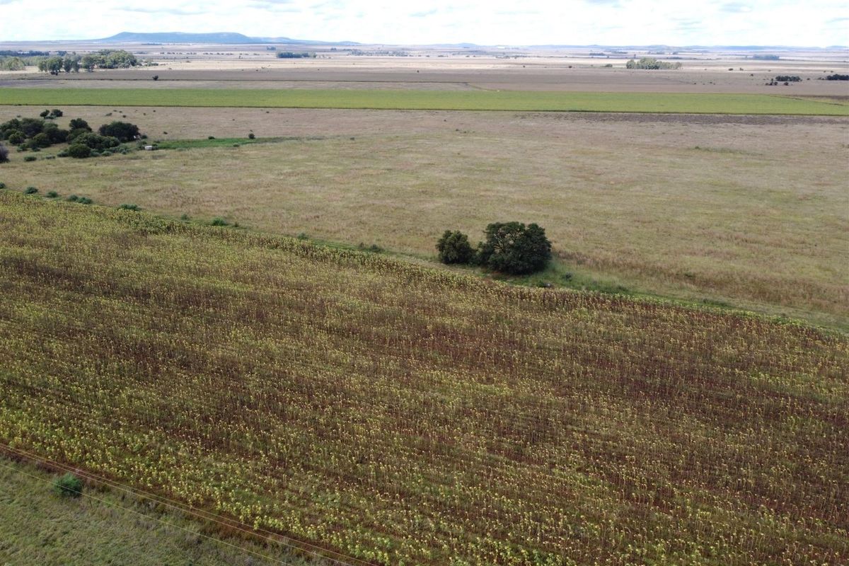 Farm For Sale in Fochville Rural - Photo 3