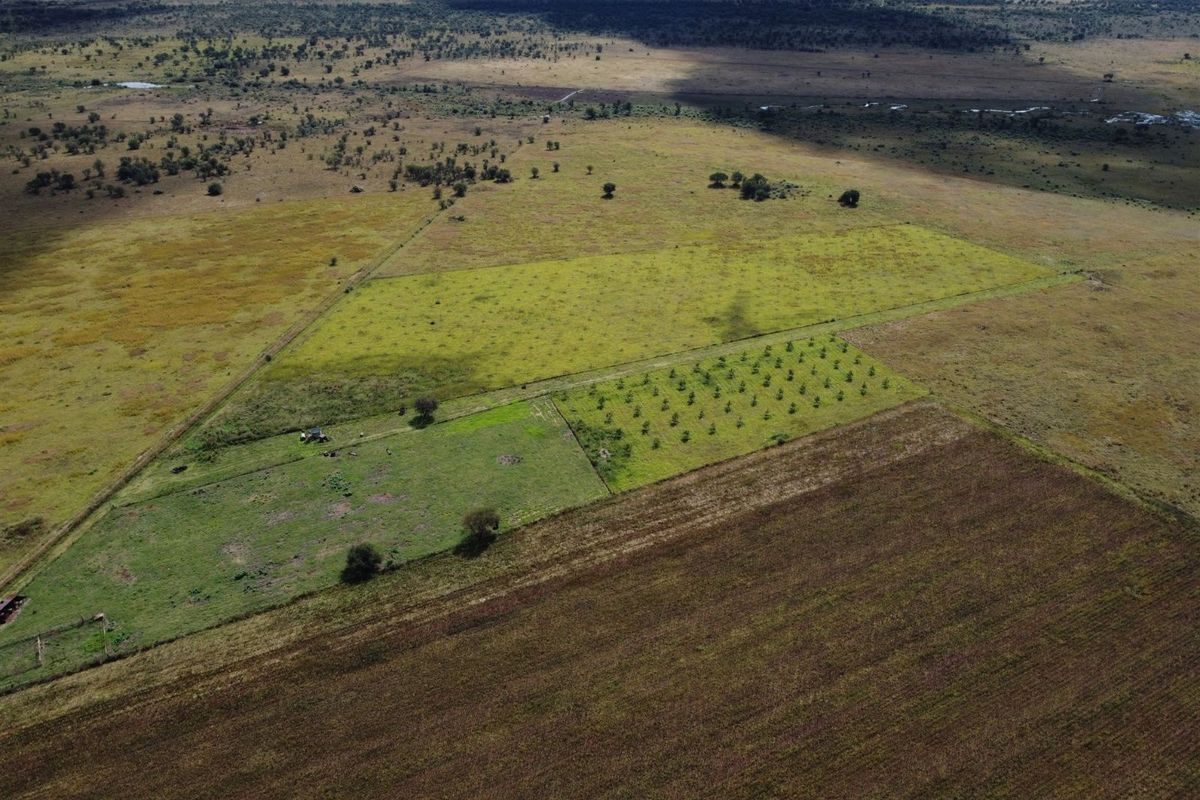 Farm For Sale in Fochville Rural - Photo 2