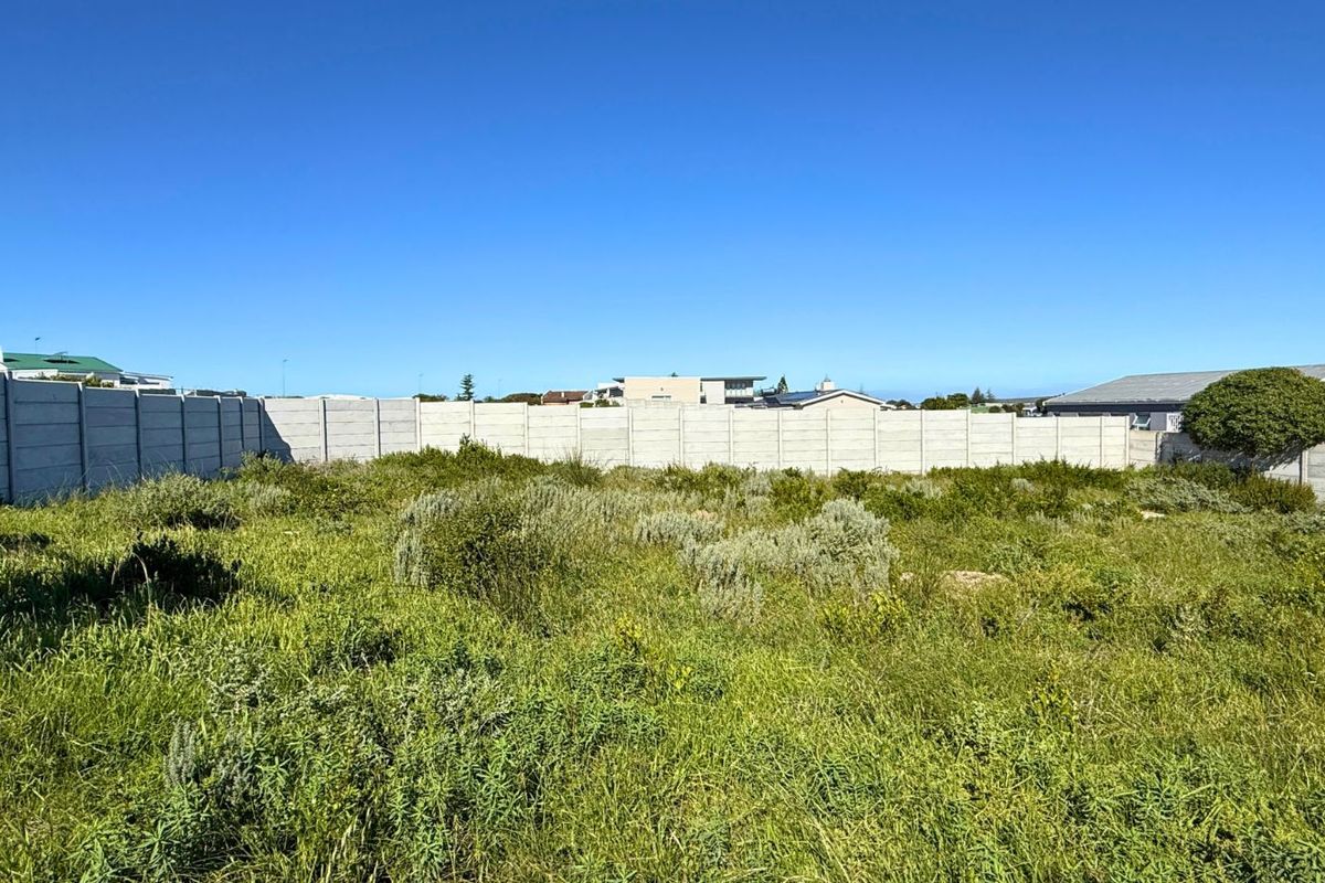 A vacant residential plot featuring established perimeter boundary walling and natural vegetation, offering a blank canvas for future development.