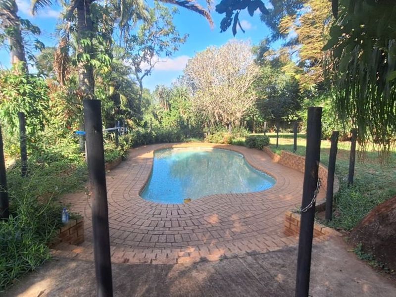Farm For Sale in Monzi SH - Photo 7