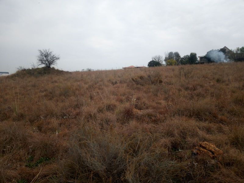Vacant Land Residential For Sale in Rietvlei View Country Estates - Photo 2