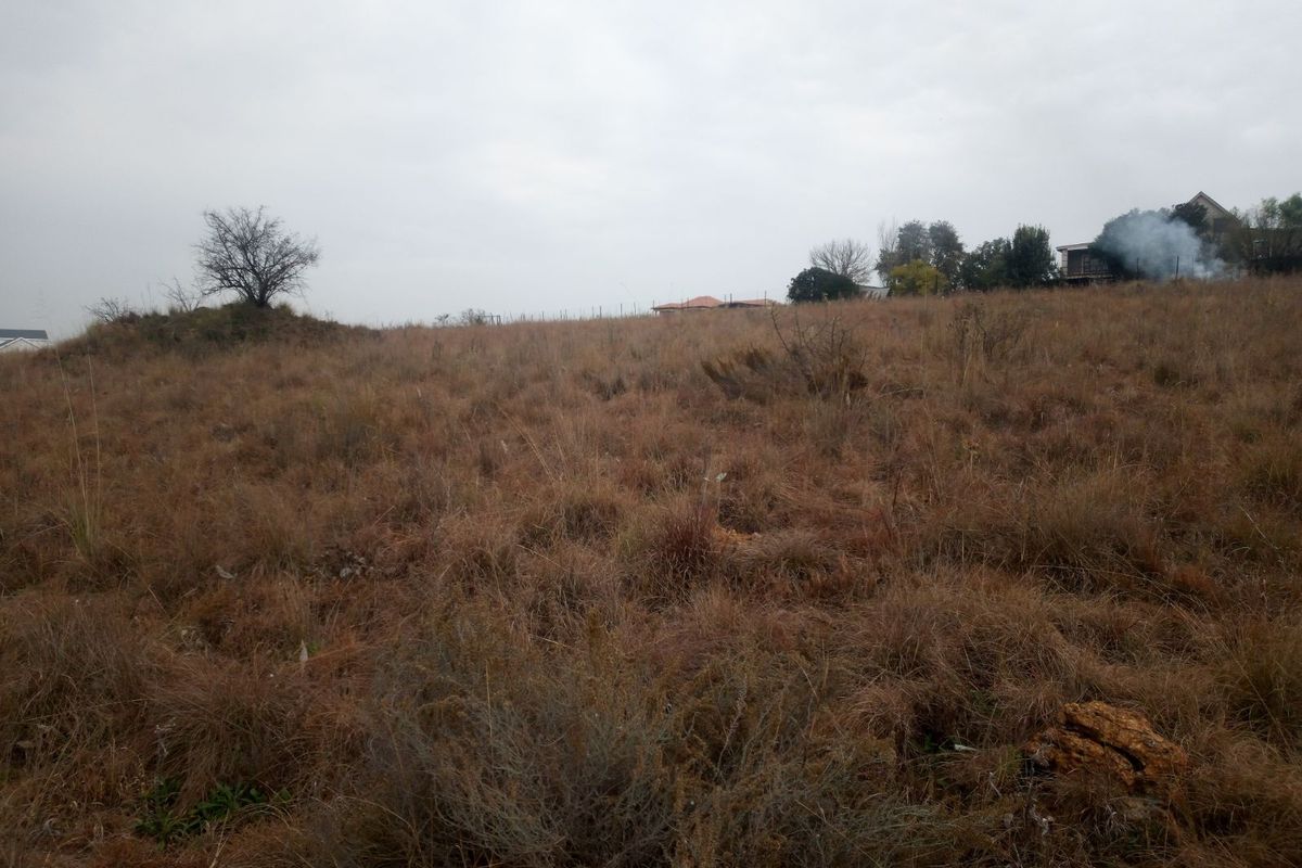 Vacant Land Residential For Sale in Rietvlei View Country Estates - Photo 2
