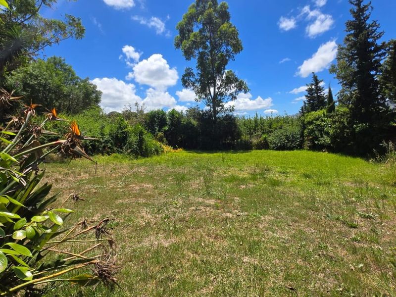 Farm For Sale in Grabouw Rural - Photo 8
