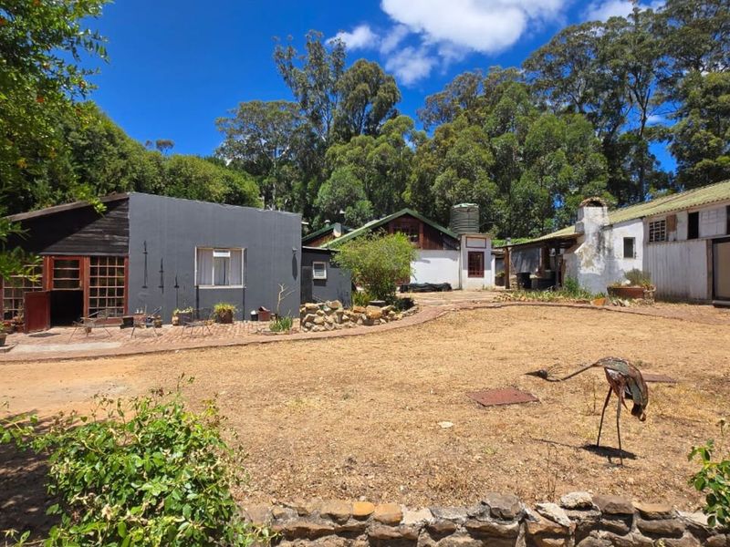 Farm For Sale in Grabouw Rural - Photo 6