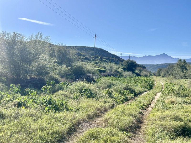 Farm For Sale in Ladismith Rural - Photo 10