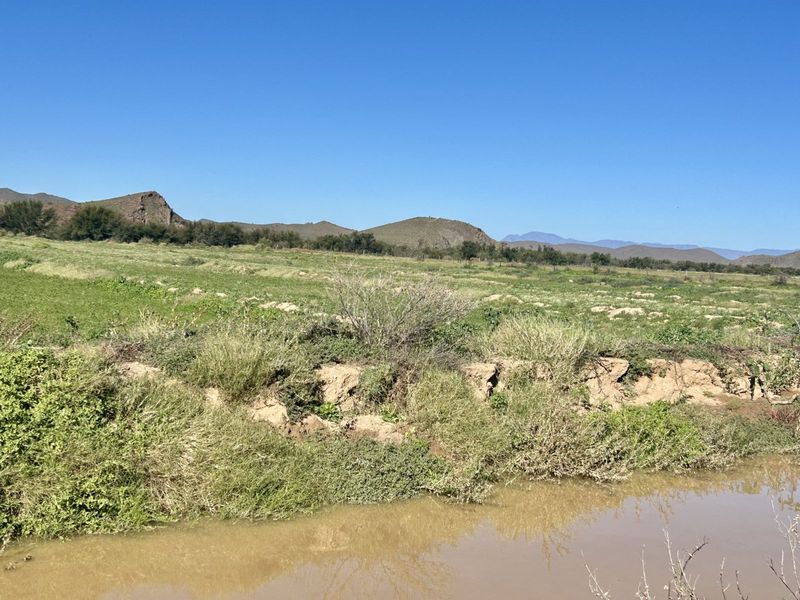 Farm For Sale in Ladismith Rural - Photo 9