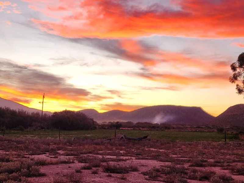 Farm For Sale in Ladismith Rural - Photo 2