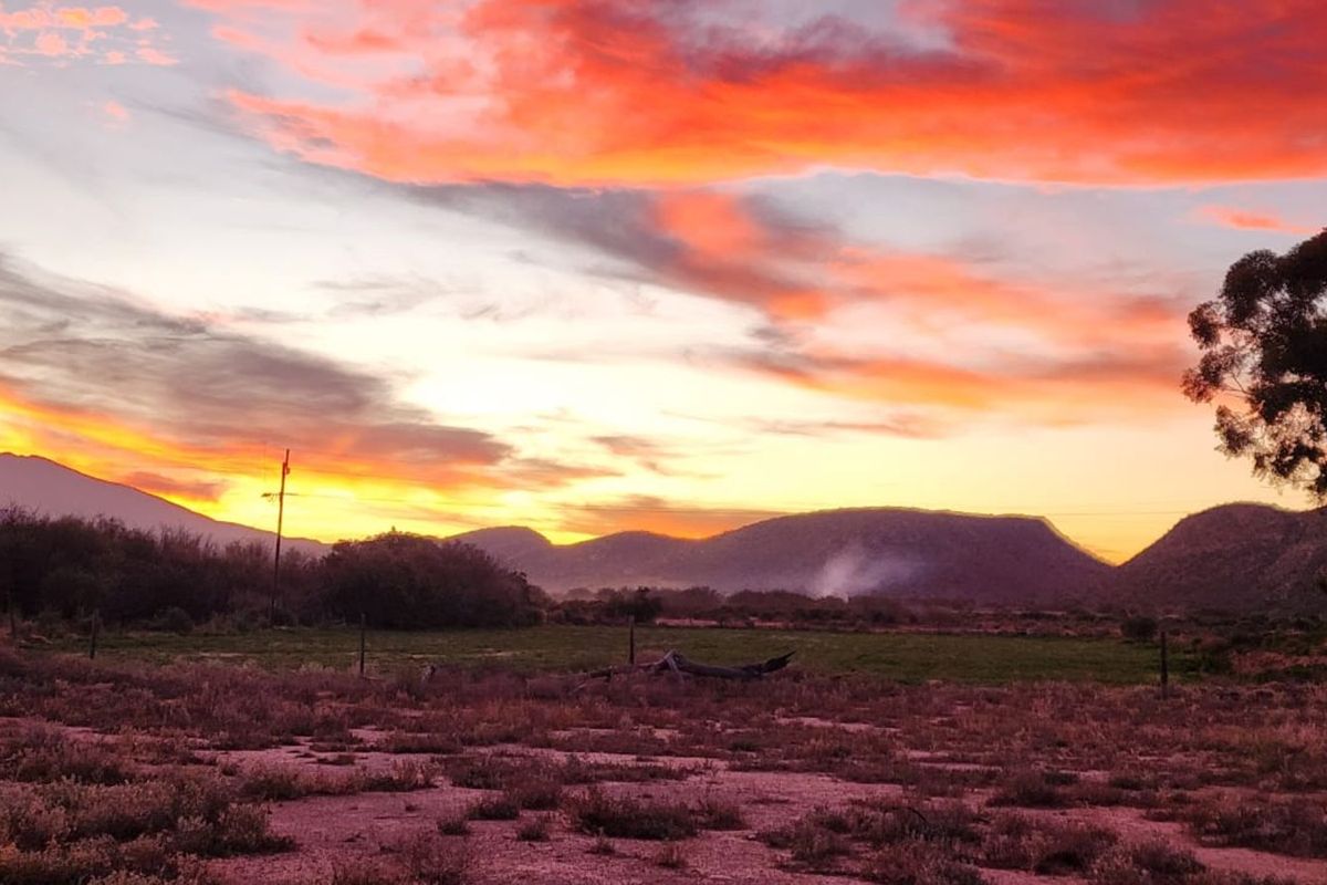 Farm For Sale in Ladismith Rural - Photo 2