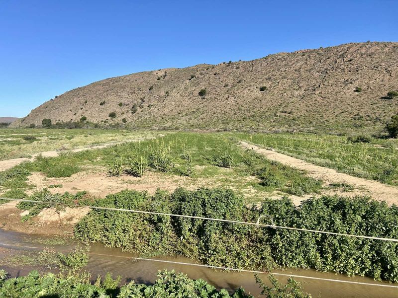 Farm For Sale in Ladismith Rural - Photo 3