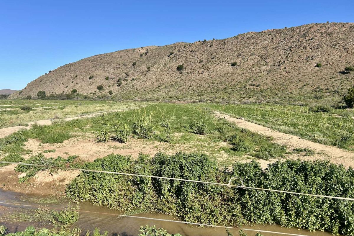 Farm For Sale in Ladismith Rural - Photo 3