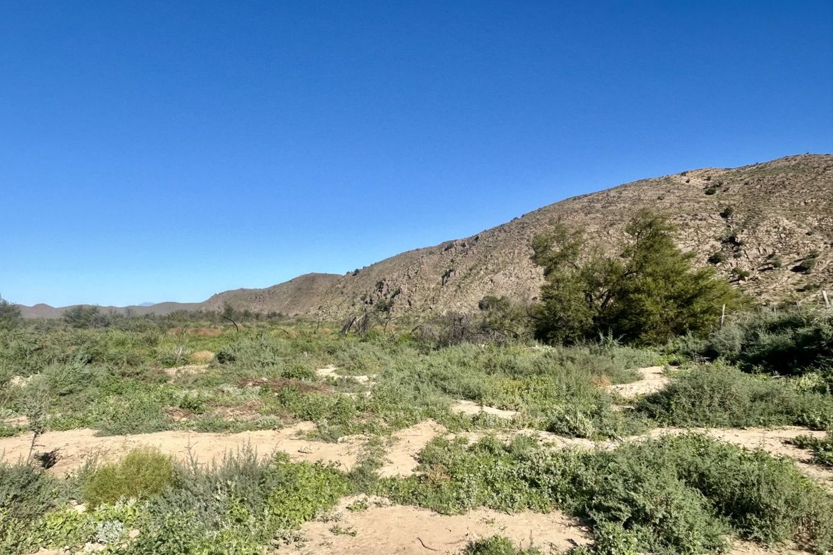 Farm For Sale in Ladismith Rural - Photo 5