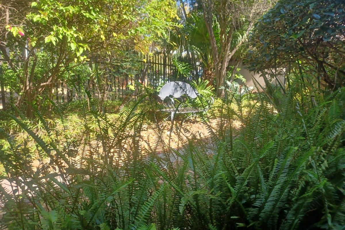 House For Sale in Olivedale - Photo 5