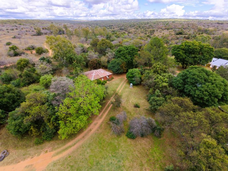 Farm For Sale in Modimolle Rural - Photo 4
