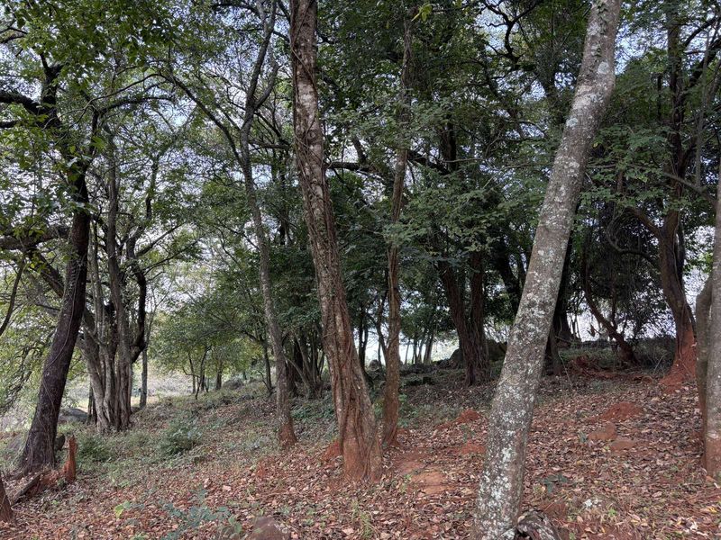 Vacant Land Residential For Sale in Doornhoek Equestrian Estate - Photo 4