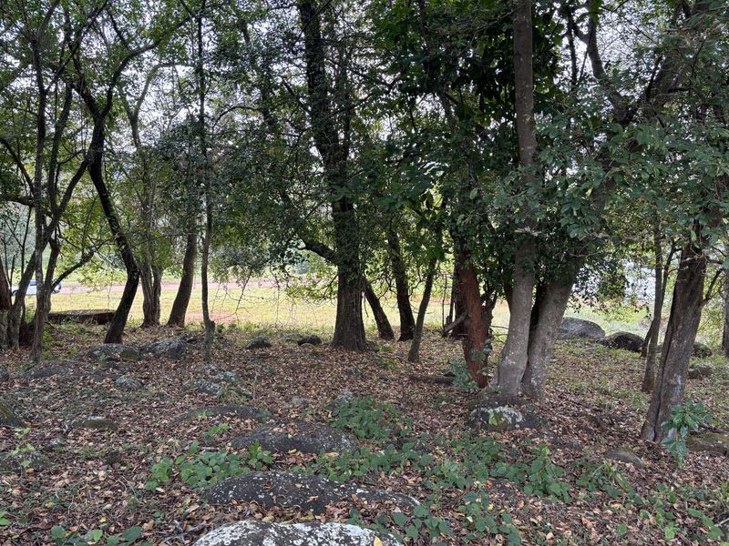 Vacant Land Residential For Sale in Doornhoek Equestrian Estate - Photo 5