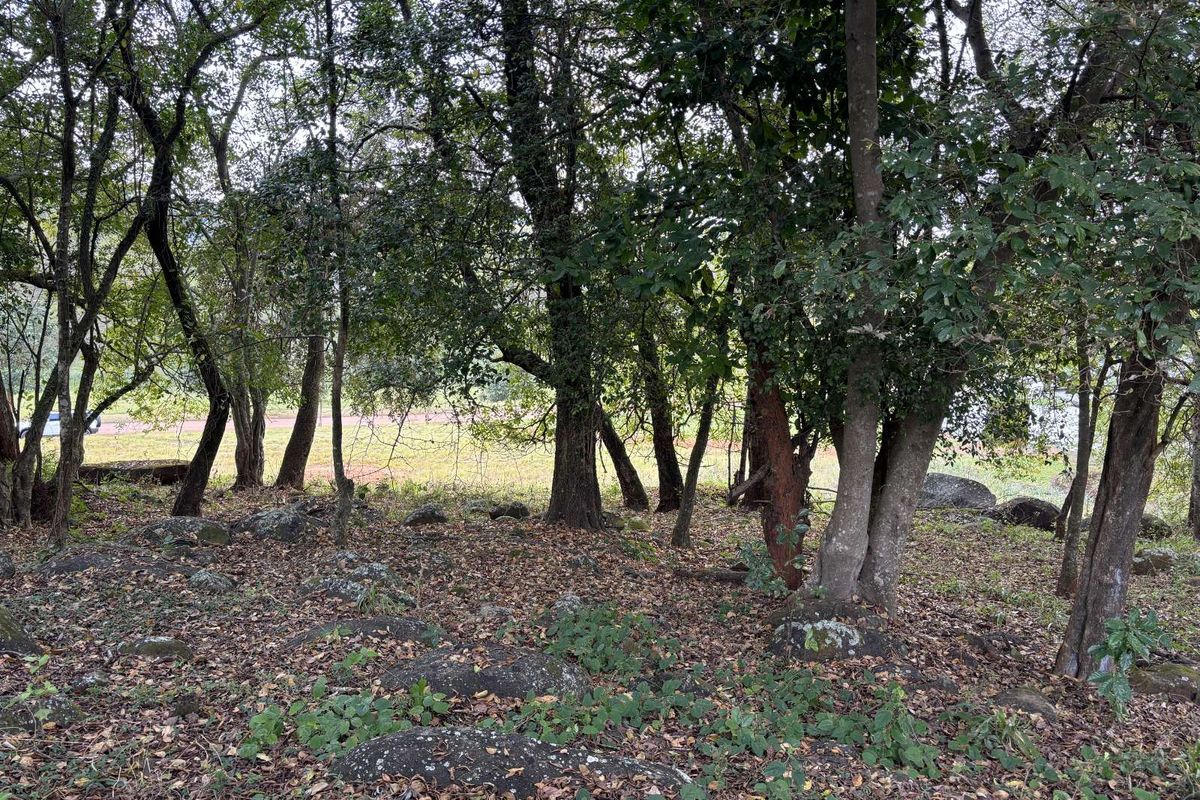 Vacant Land Residential For Sale in Doornhoek Equestrian Estate - Photo 5