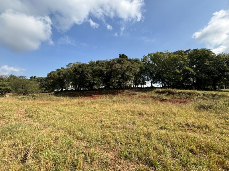 Vacant Land Residential For Sale in Doornhoek Equestrian Estate - Photo 8