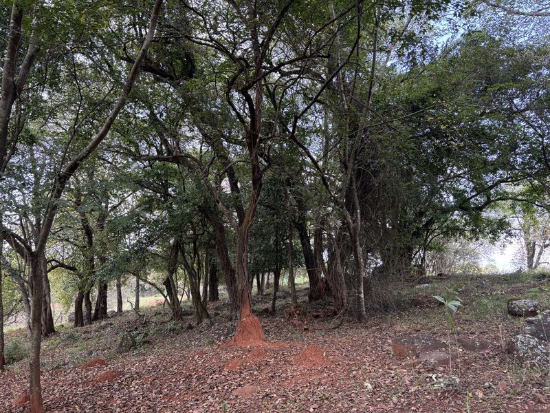 Vacant Land Residential For Sale in Doornhoek Equestrian Estate - Photo 7