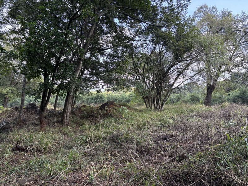 Vacant Land Residential For Sale in Doornhoek Equestrian Estate - Photo 6