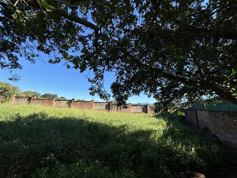 Vacant Land Residential For Sale in Golden Acres Estate - Photo 4