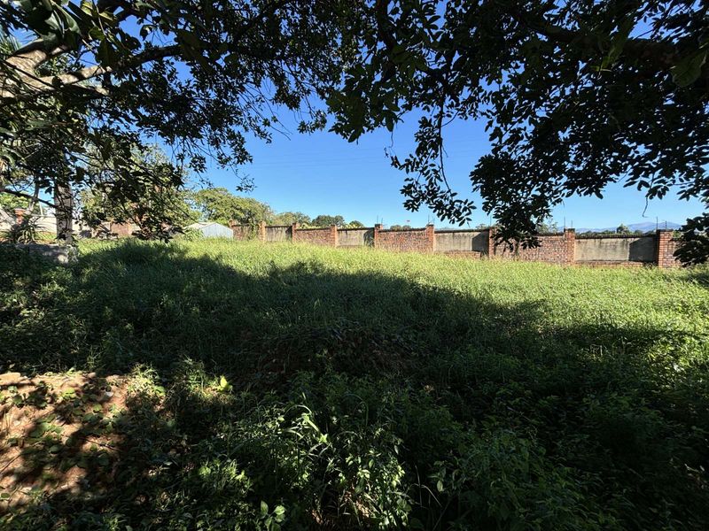 Vacant Land Residential For Sale in Golden Acres Estate - Photo 3