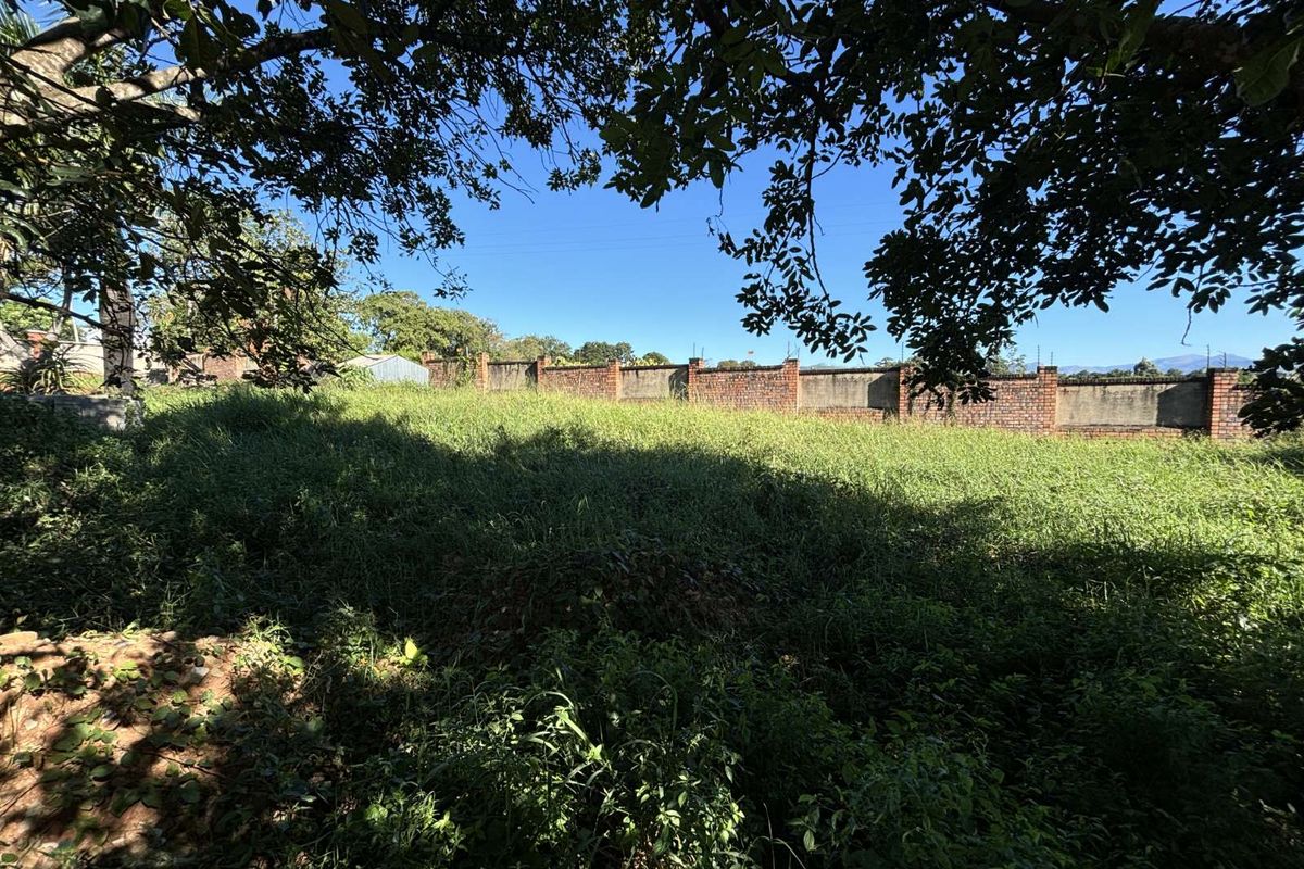 Vacant Land Residential For Sale in Golden Acres Estate - Photo 3