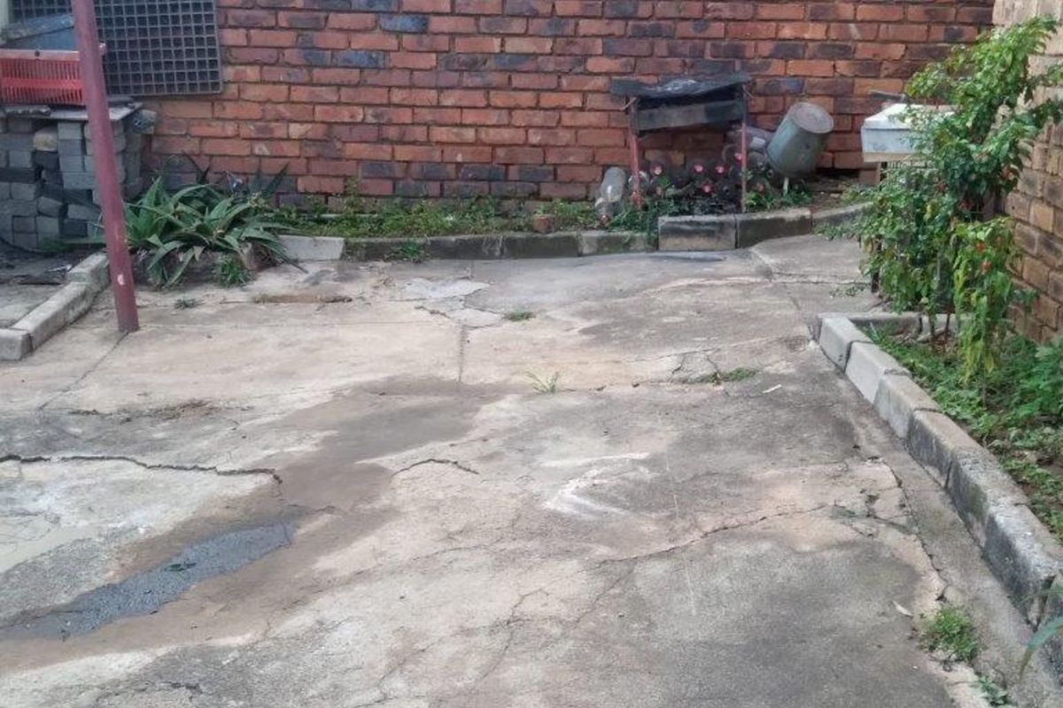 A rear outdoor area featuring a concrete paved surface and a brick boundary wall, requiring maintenance and landscaping improvements.