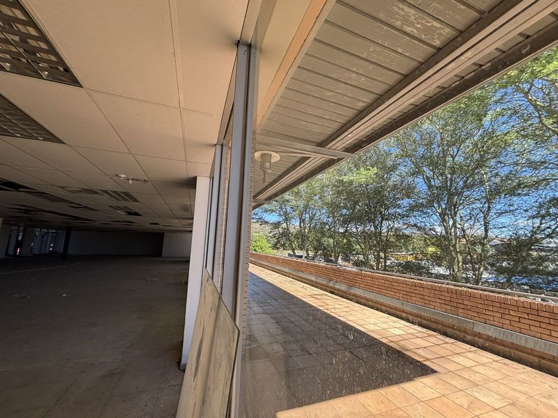 Business To Rent in Montana - Photo 7