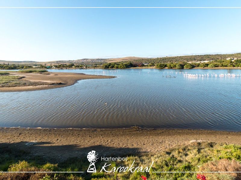 Vacant Land Residential For Sale in Hartenbos Landgoed - Photo 4